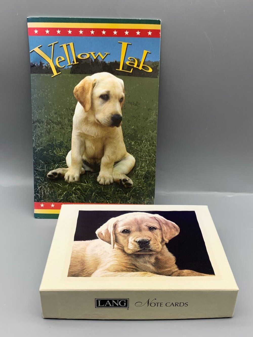 NEW Box Lang Lab Note Cards with Envelopes and Yellow Lab Book